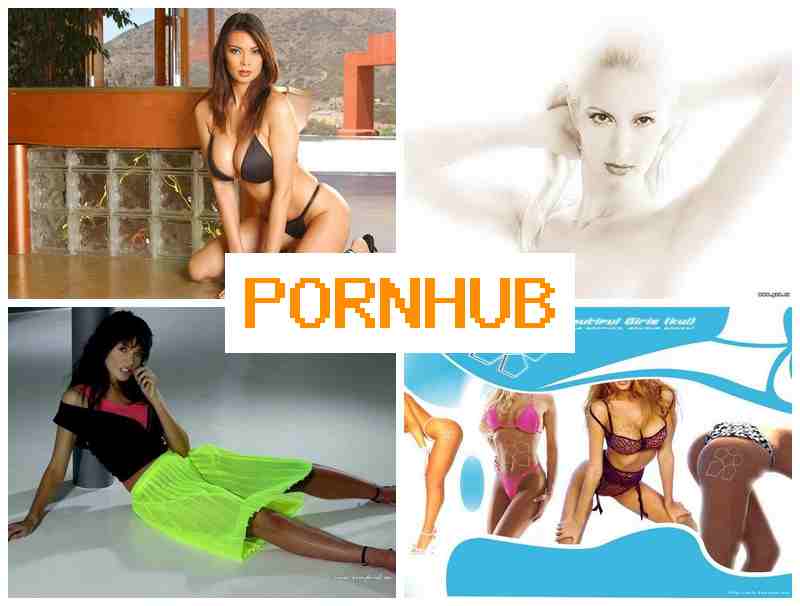 PODN HUB 🆕 Real Webcam Girls