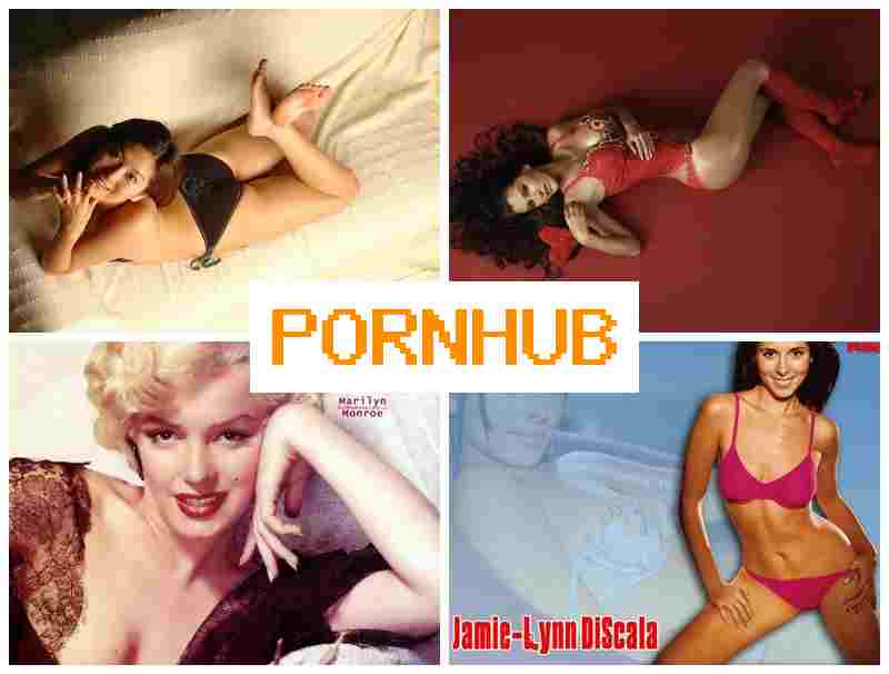 PPRN HUB 👩 Porno Webcam Perfect